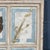 Large Italian Oak Frame Containing Pressed Flowers & Herbs, 1980 For Sale - Image 13 of 18