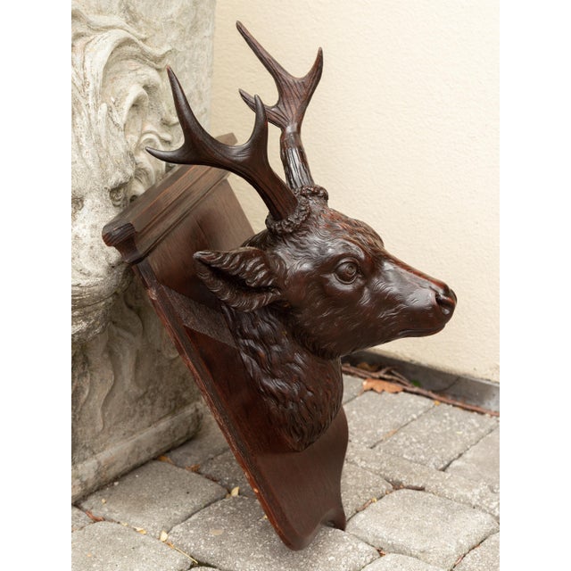 Brown Black Forest 1900s Hand Carved Wooden Buck Head Mounted on Shield Plate For Sale - Image 8 of 12