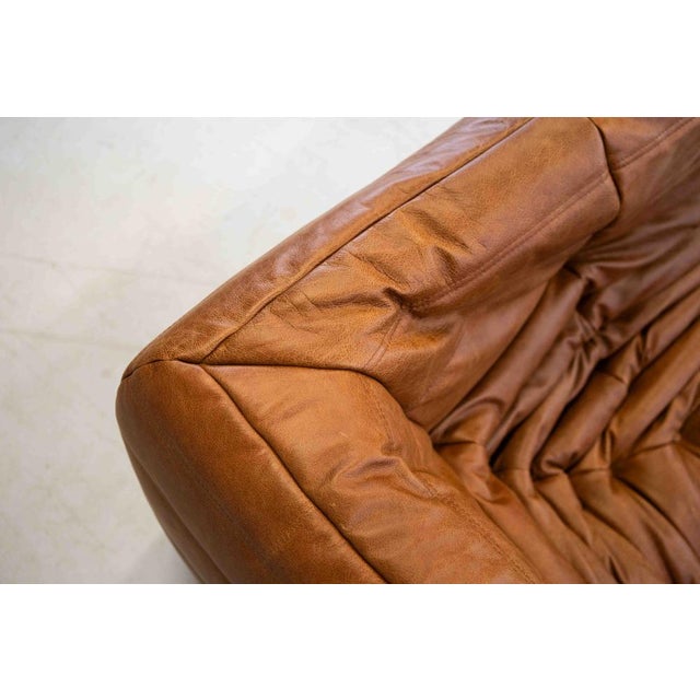 Vintage Two-Seater Togo Sofa with Arms in Brown Pine Leather by Michel Ducaroy for Ligne Roset, 1970s For Sale - Image 11 of 18