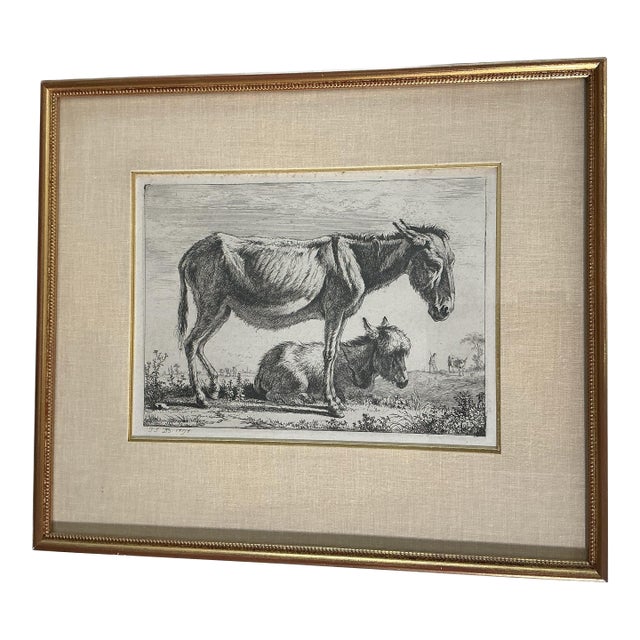 Antique French Engraving “Jenny With Its Foal” Jean-Jacques De Boissieu, 1797 – Paris Framed For Sale