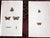 Antique 19th Century Hand Colored Butterfly Lithographs - Set of 12 For Sale In Cincinnati - Image 6 of 12
