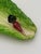 Ceramic Late 19th Century Italian Lettuceware Majolica Dishes With Radish Reliefs - Pair For Sale - Image 7 of 14