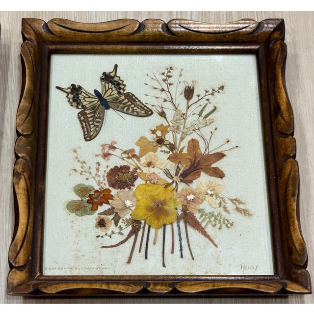 Framed Butterflies & Flowers Specimen, Collection of 3 | Chairish