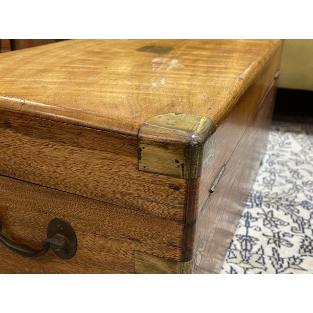 Early 20th Century Camphor Wood Chest For Sale - Image 10 of 14