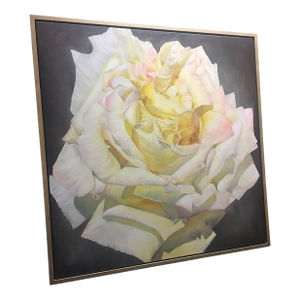 Framed Oil on Canvas Blush Rose "Blanca" by Shelly Gurton