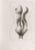 Etching realized by Giacomo Porzano in 1972. Hand signed and numbered in pencil. Edition of 100 in arab numbers and 20 in...
