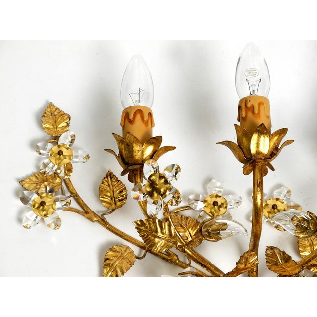 Gold Large Italian Wide Gilt Florentine Wall Lamp with Three Sockets For Sale - Image 8 of 17