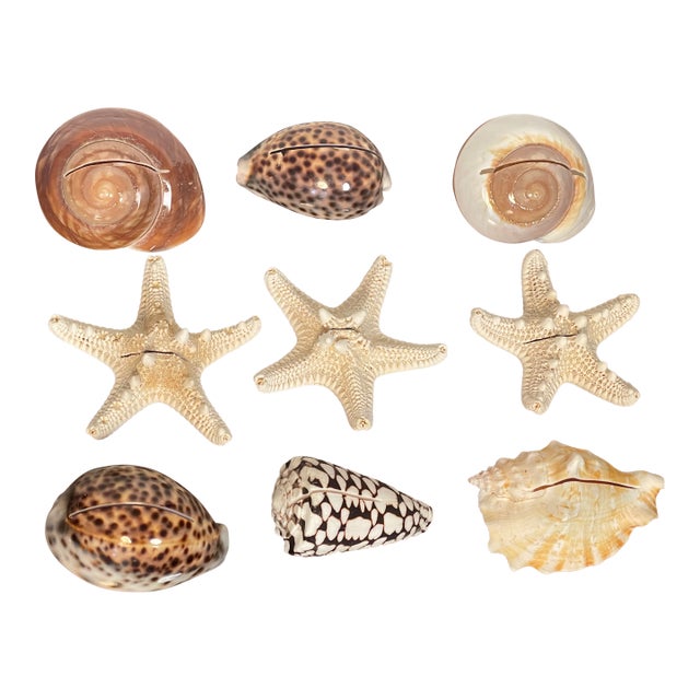 9 PCS Vintage Coastal Sea Shell Place Cards Holders for Weddings, Parties For Sale