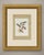Red tanagers print after Descourtilz, Estampa 31 of the Ornitologia Brasileira, published in Rio de Janeiro in 1944 and...