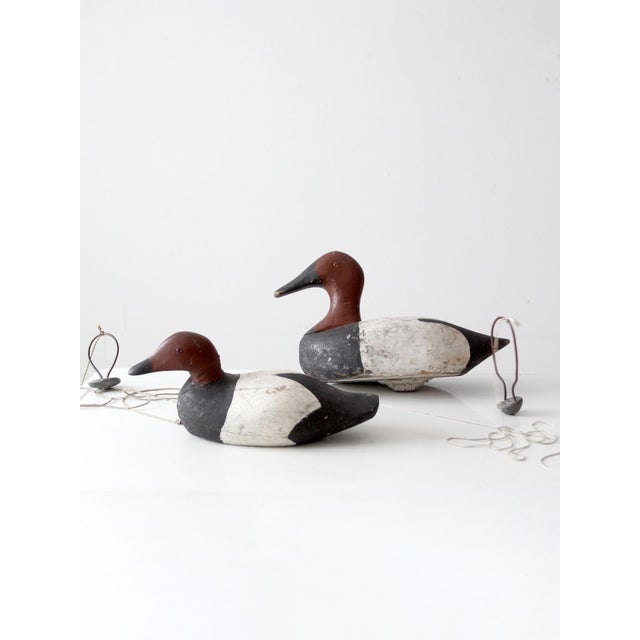 A pair of vintage hand-painted Canvasback duck decoys with reddish-brown heads, black chests, and white bodies. Each...
