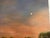 Gustafsen, Pastoral Landscape with Grazing Cows at Dusk, 2002, Oil Painting For Sale - Image 12 of 15