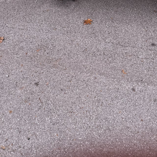 Wood 19th Century French Benches For Sale - Image 7 of 7