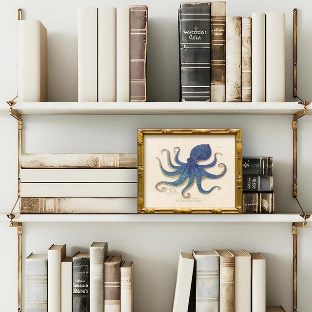 This is our blue octopus print from our vintage "Les Animaux Marins" series. Please note there are 6 images in this...