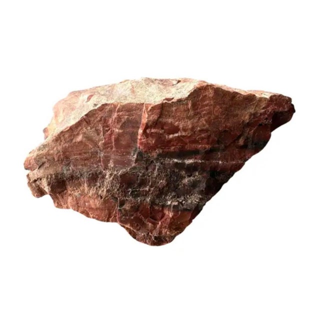 Petrified Wood Sculpture, Organic Modern Design, #2 For Sale - Image 9 of 13