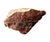 Petrified Wood Sculpture, Organic Modern Design, #2 For Sale - Image 9 of 13
