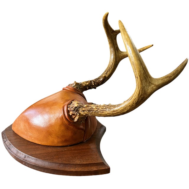 2000 - 2009 2001 Karl E. Hallberg “Night Hawk” Deer Antler & Hand-Tooled Leather Trophy Wall Mount For Sale - Image 5 of 7