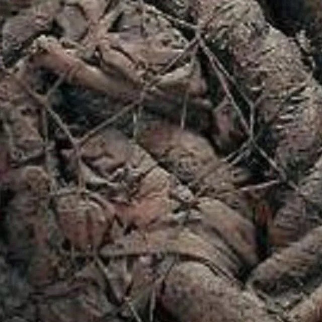 Barbara Shawcroft, Fabric Rope Fiber Art Construction Sculpture For Sale - Image 4 of 5