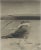 Enrique Vasi, Lying Man, Drawing, Mid-20th-Century For Sale - Image 3 of 3