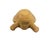 Vintage Cast Stone Turtle Garden Statue For Sale In West Palm - Image 6 of 12