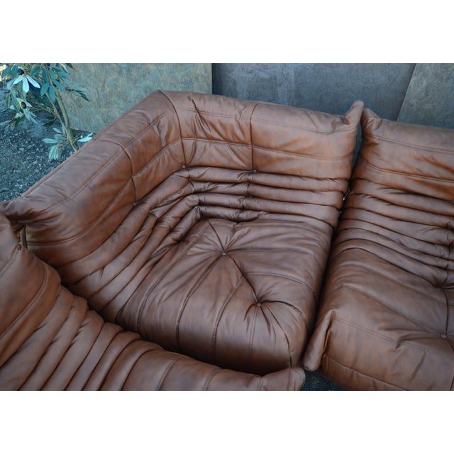 Togo Sofa Set by Michel Ducaroy for Ligne Roset, Set of 5 For Sale - Image 5 of 10