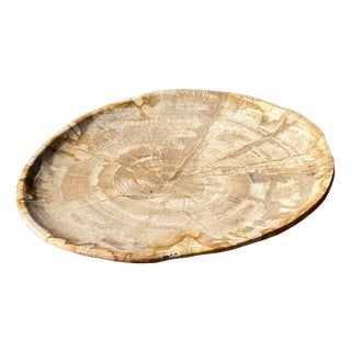 Small Oval Beige Petrified Wood Trinket Dish or Tray with Speckled Rings For Sale