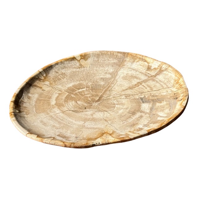 Small Oval Beige Petrified Wood Trinket Dish or Tray with Speckled Rings For Sale