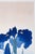 Japanese Blue Iris Flowers by Ohara Koson, Japanese Woodblock Print, 32" X 48" For Sale - Image 3 of 12