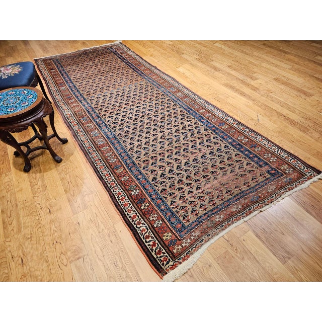 Vintage Persian Kurdish Bidjar Gallery Rug, Hand-Knotted Wool, Allover Paisley Design, Camelhair & Blue, 5x12 For Sale - Image 16 of 16
