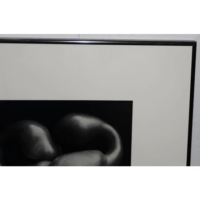 Edward Weston "Bell Pepper" Poster C.1979 Chairish