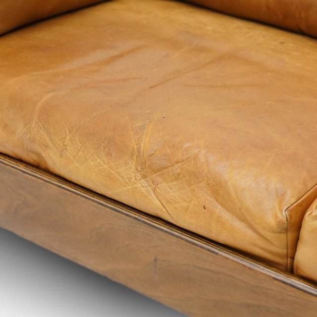 Brown Zelda 2-Seater Sofa by Sergio Asti for Poltronova, 1960s For Sale - Image 8 of 16