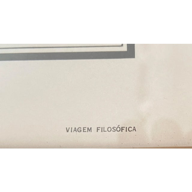 Wood Vintage 19th C Alexander Rodrigues Ferreira Rugendas Print Framed For Sale - Image 7 of 9