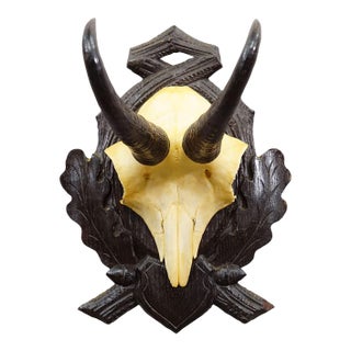 Antique Chamois Trophy on Carved Plaque, Germany Ca. 1930s For Sale
