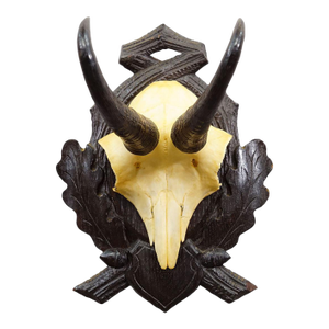 Antique Chamois Trophy on Carved Plaque, Germany Ca. 1930s