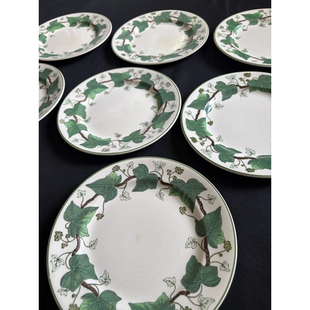 A set of 9 Vintage Wedgwood Napoleon Ivy Plates. 8" round plates made of pottery in England during the Mid 20th Century....