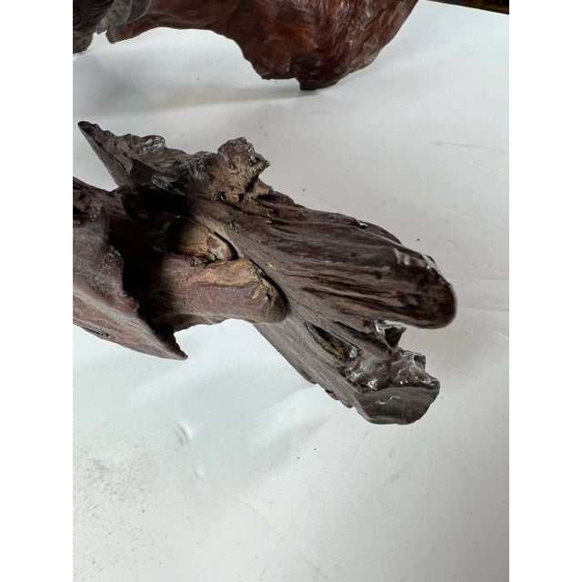 Mid 20th Century Tree Root Sculpture For Sale - Image 11 of 13