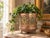 Antique copper jardiniere dating to the late 19th or early 20th century, featuring ornate brass mounts with Gothic-...