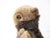 Glass Vintage Steiff Beaver Stuffed Animal For Sale - Image 7 of 8