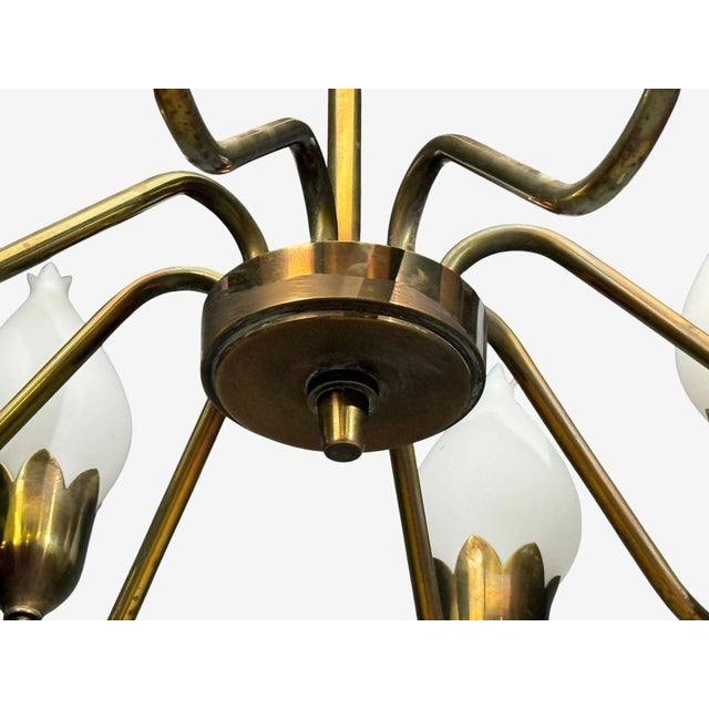 1950s Fog & Mørup, Tulip Chandelier, Opal Glass, Brass, Denmark, 1950s For Sale - Image 11 of 13