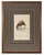 1828 French Raptor Gallery by Jean-Charles Werner | Set of 6 Hand-Colored Lithographs, Framed For Sale In Columbus - Image 6 of 12
