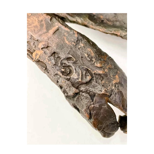 Seena Donneson Seena Donneson, Cast Bronze Organic Husk Wall Mounted Abstract Textured Sculpture Seena Donneson For Sale - Image 4 of 5