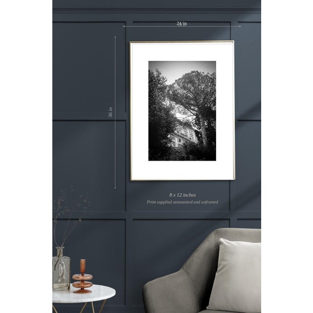 Not Yet Made - Made To Order Paul Cooklin, Rome, Italy, Edition of 50 For Sale - Image 5 of 7