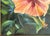 Green Original Signed and Framed Painting on Canvas 'Pretty Hibiscus' For Sale - Image 8 of 14