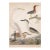 Large Antique Reproduction Coastal Bird Print, 1800s, 40" X 50" For Sale