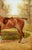 George Paice, Painting Racehorse Mohican, 1887, Framed, 1887, Oil on Board For Sale - Image 6 of 14