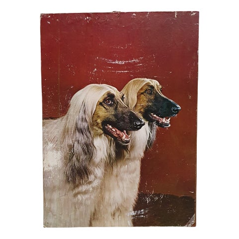 Afghan Dogs Sign in Metal, 1970s For Sale