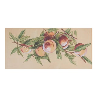 Early 20th Century Peaches Watercolor Painting For Sale