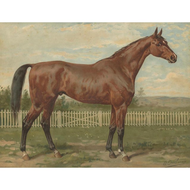 After Eerelman, Thoroughbred Horse Portrait, Pur Sang, Lithograph, 1898 For Sale - Image 6 of 10
