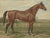After Eerelman, Thoroughbred Horse Portrait, Pur Sang, Lithograph, 1898 For Sale - Image 6 of 10