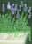 Contemporary Lavander Garden No.1 Contemporary Botanitcal Orginal Painting by Susan Havens For Sale - Image 3 of 5