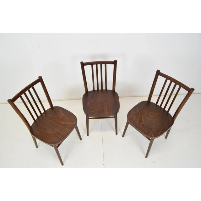 Mid-Century Chairs from TON, 1960s, Set of 3 For Sale - Image 4 of 14